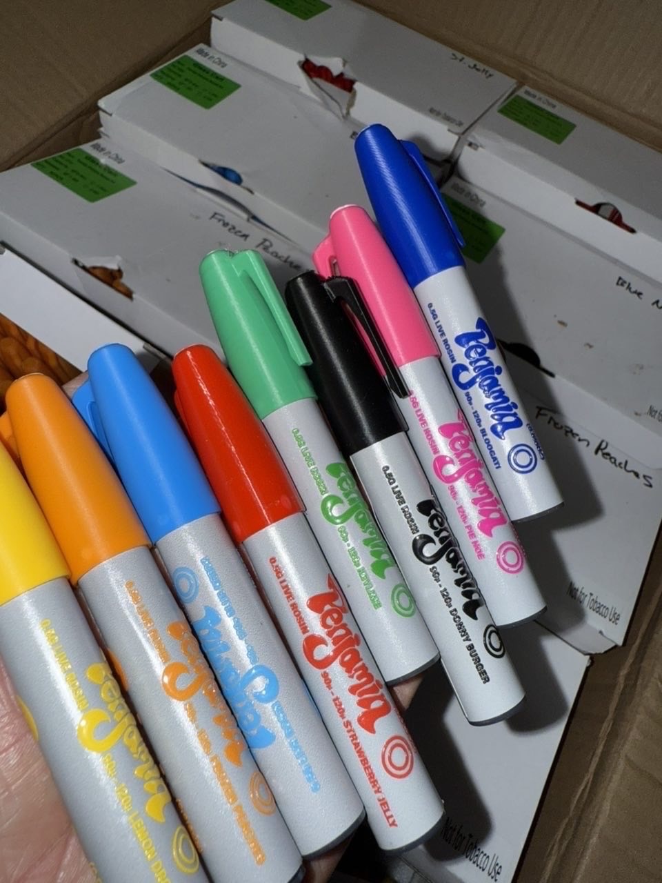 penjamins
