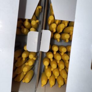 penjamins