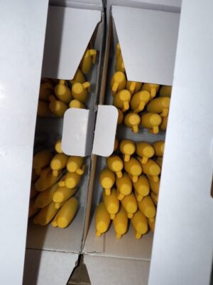 penjamins
