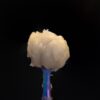penjamins concentrate