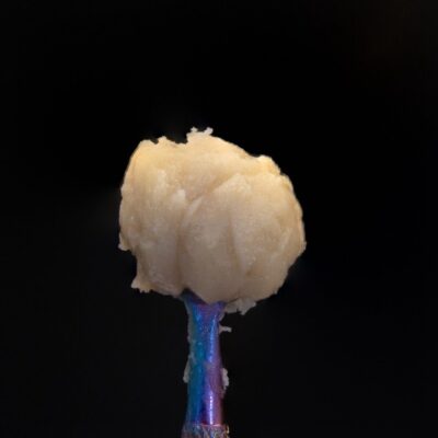 penjamins concentrate